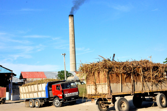 Aportarán más azúcar al plan de Granma agroindustriales de Campechuela Aportarán más azúcar al plan de Granma agroindustriales de Campechuela