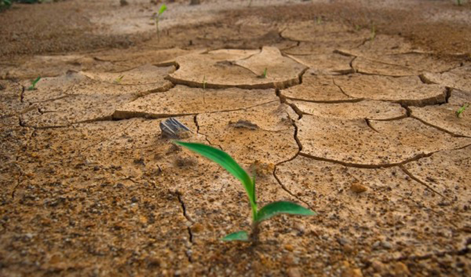 Cambios en patrones de lluvia afectarán a importantes cultivos Cambios en patrones de lluvia afectarán a importantes cultivos