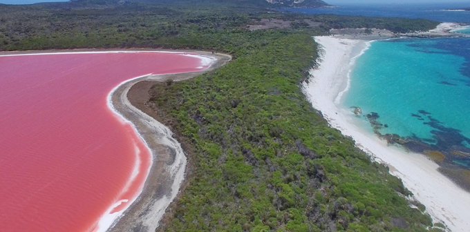 En Australia un lago se vuelve rosa naturalmente (+video) En Australia un lago se vuelve rosa naturalmente (+video)