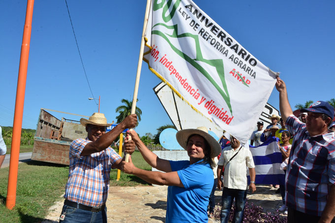 Flamea jubilosa la  bandera campesina (+ fotos)