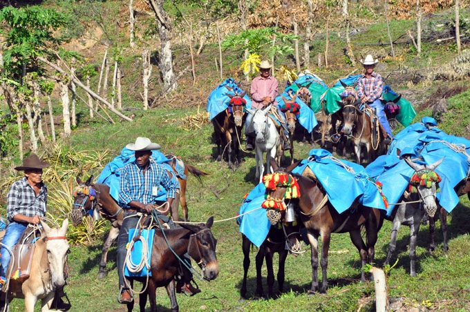 Desarrollarán en Granma evento de arrieros y fabulaciones serranas (+fotos)