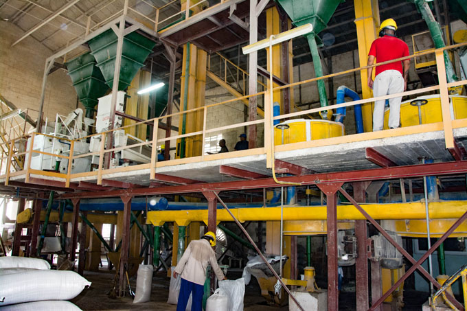 Se incrementará producción de harina de arroz Se incrementará producción de harina de arroz