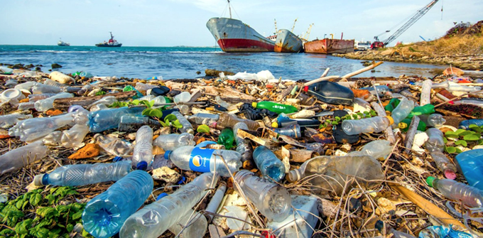 Los océanos frente a la marea asesina (+ videos) Los océanos frente a la marea asesina (+ videos)