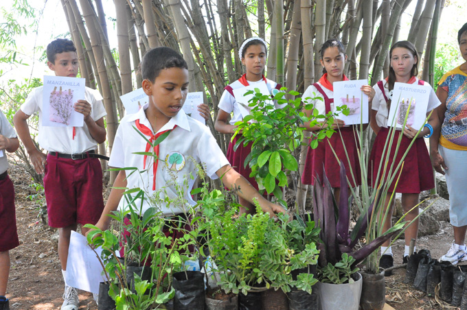 Celebran Día mundial del Medio Ambiente