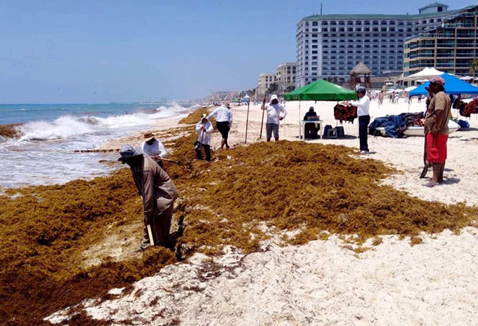 Naciones del Caribe por preservar sus playas Naciones del Caribe por preservar sus playas