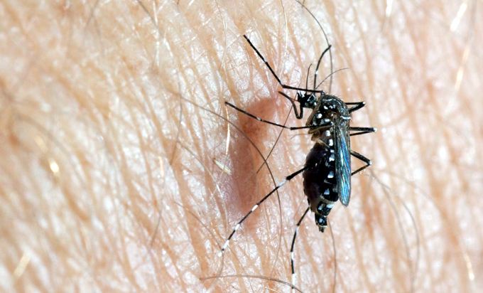 Contrarrestan desfavorable situación epidemiológica en Bayamo (+ video)