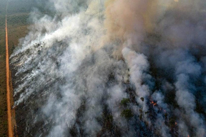 Terrorismo ambiental: la Amazonia en la mira