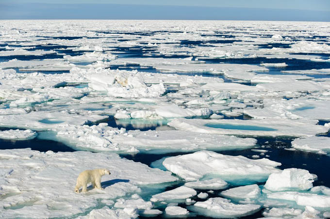 Pérdida de hielo marino ártico podría acelerar calentamiento global Pérdida de hielo marino ártico podría acelerar calentamiento global