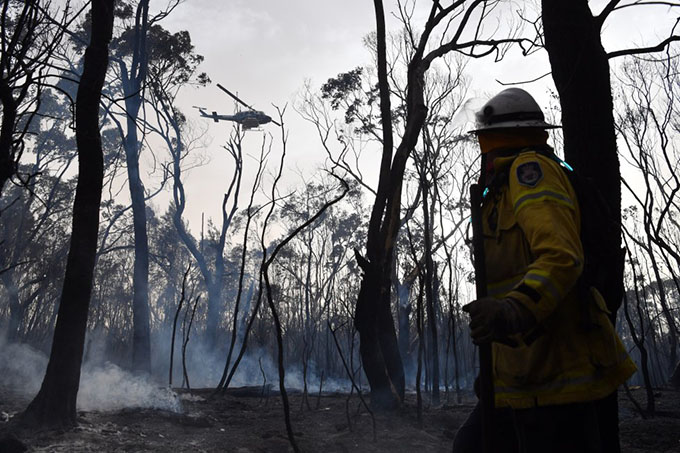 Catastróficos incendios en Australia (+ fotos y video)