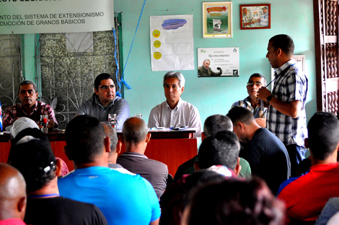 Destacan impactos en cultivo de granos en Granma Destacan impactos en cultivo de granos en Granma