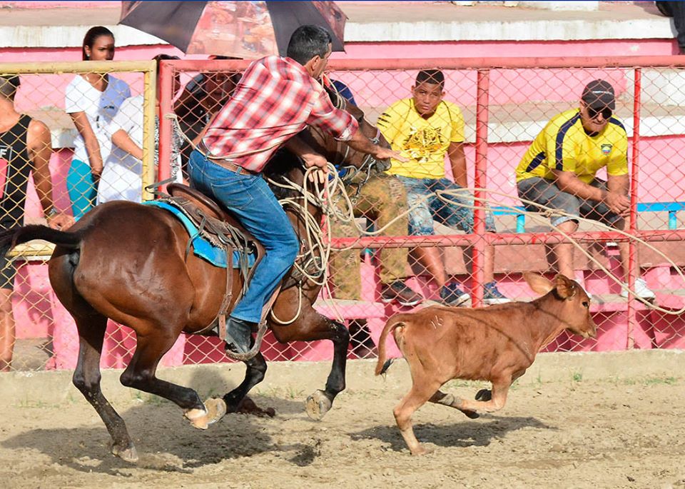 Anuncian próxima Feria agropecuaria (+ fotos) Anuncian próxima Feria agropecuaria (+ fotos)