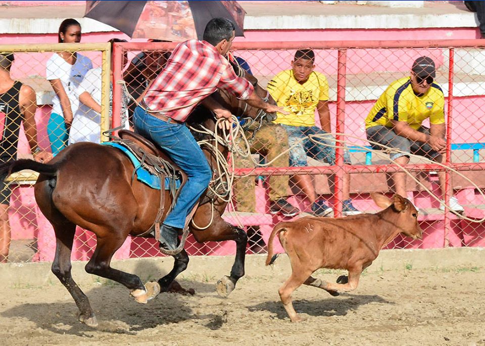 Anuncian próxima Feria agropecuaria (+ fotos)