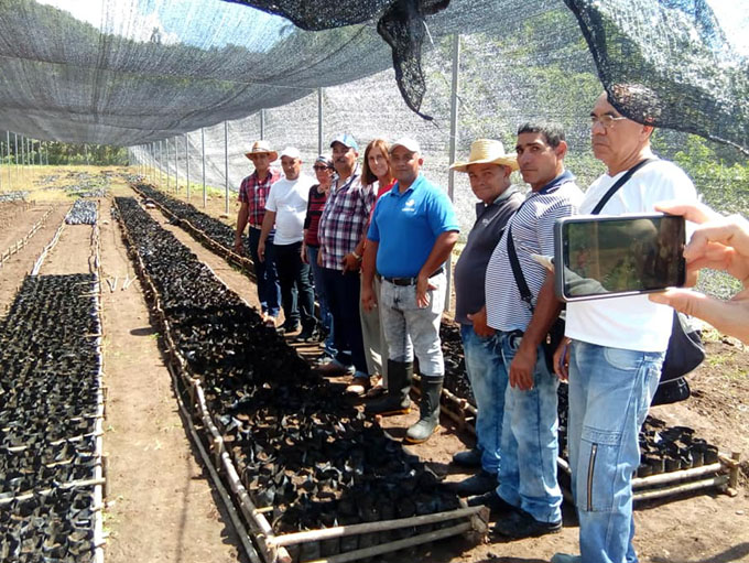 Introducen moderna tecnología en agroindustria cafetalera