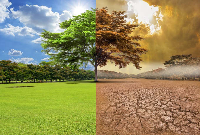 Cierra década con marcadas incidencias del cambio climático Cierra década con marcadas incidencias del cambio climático