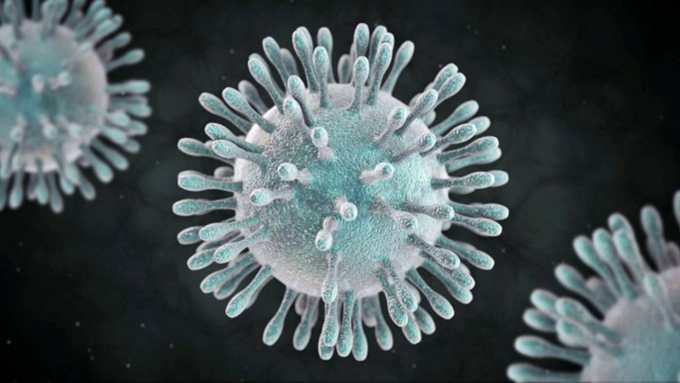 Descartan el contagio del nuevo coronavirus en las Américas y en Cuba