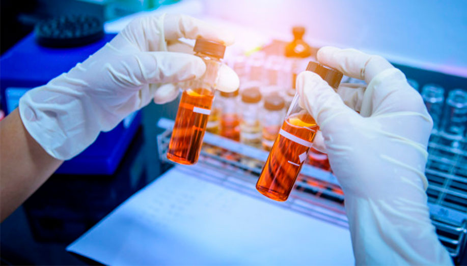 La ciencia: una madre que cobija La ciencia: una madre que cobija