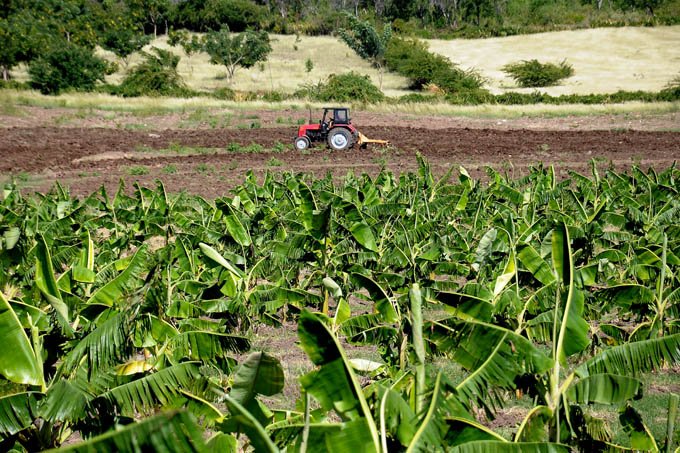 Campesinos dentro de nuevas metas