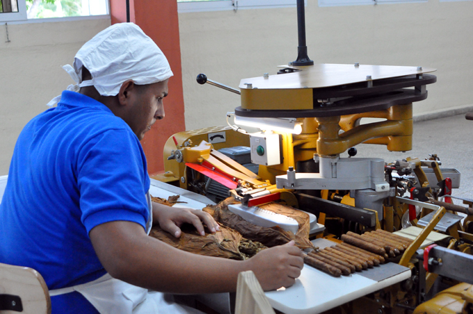 Ponen en marcha equipos de moderna fábrica de tabacos torcidos (+ fotos, audio y video)