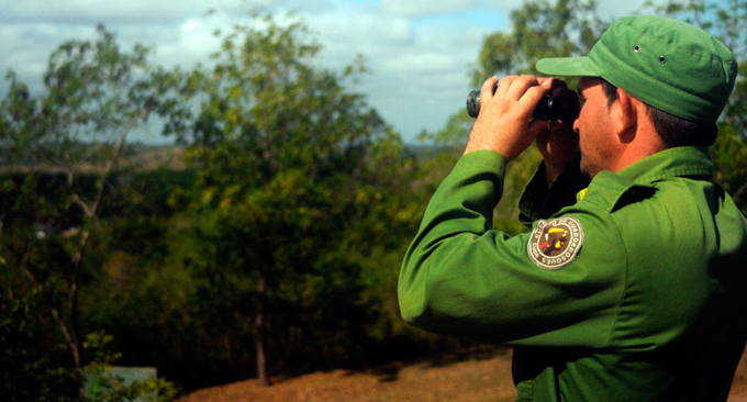 Cuba refuerza gestión y estrategia contra los incendios forestales