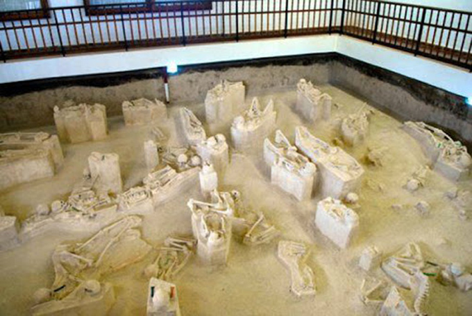Promueven en Holguín estudios arqueológicos como parte de los programas priorizados de la ciencia Promueven en Holguín estudios arqueológicos como parte de los programas priorizados de la ciencia