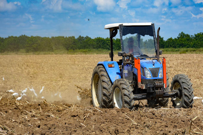 Más calidad y eficiencia en la producción de alimentos