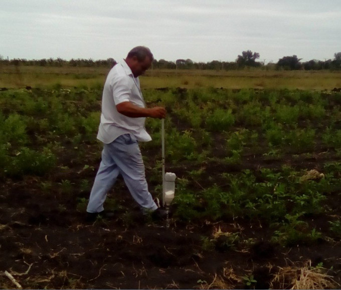Reducen en Granma degradación de tierras Reducen en Granma degradación de tierras