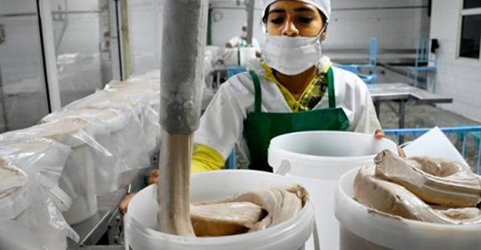 Industria láctea refuerza producciones Industria láctea refuerza producciones