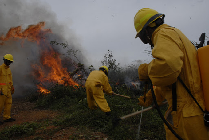 Insisten guardabosques en peligrosidad de incendios forestales   