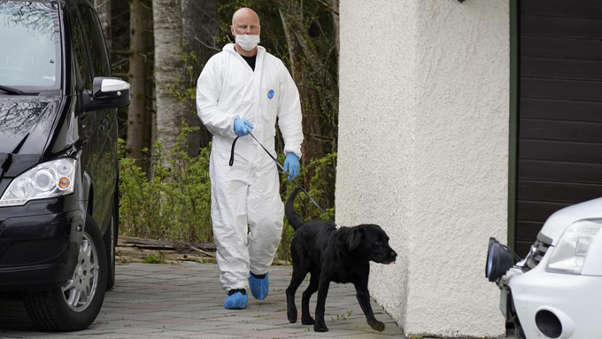 Reino Unido entrenará perros para detectar el nuevo coronavirus (+video)