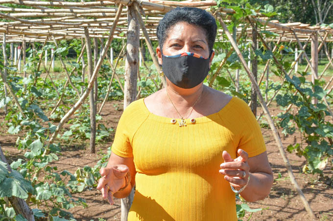 Decisivo aporte de la mujer a programa forestal Decisivo aporte de la mujer a programa forestal