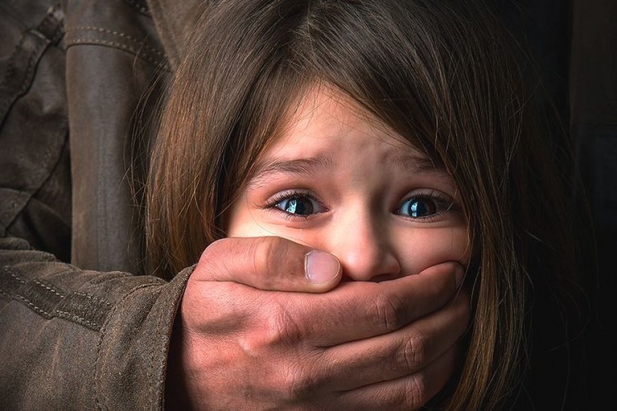 Desmantelan red de pedofilia en cinco países de América Desmantelan red de pedofilia en cinco países de América