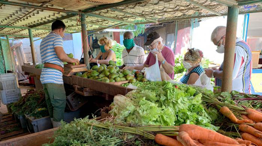 Aprueba gobierno de La Habana nuevos precios de productos agropecuarios