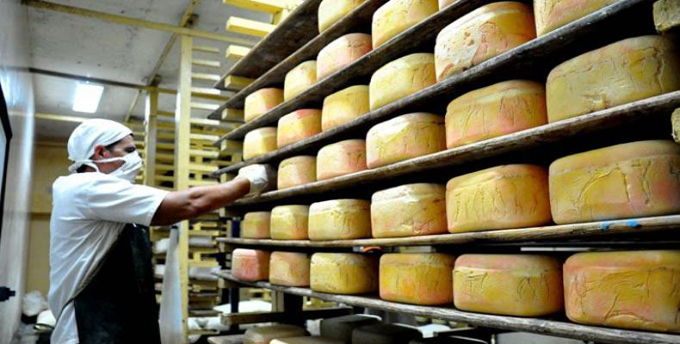 2020: Un año difícil para la industria láctea 2020: Un año difícil para la industria láctea