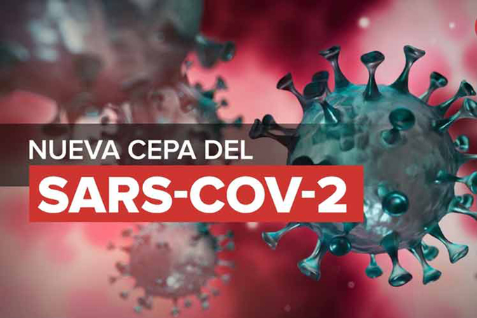 Llega a Francia variante del SARS-Cov-2 detectada en Reino Unido Llega a Francia variante del SARS-Cov-2 detectada en Reino Unido