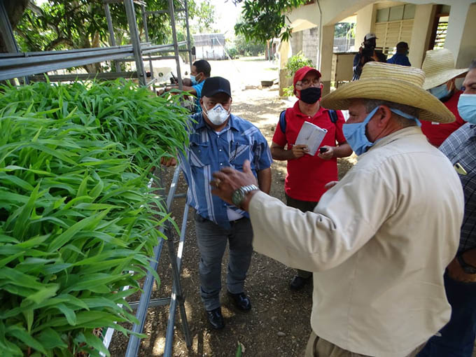 Destacan  necesidad de generalizar experiencia de finca La Victoria