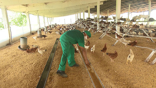 Aportes desde la academia a la producción de alimentos (+audio)