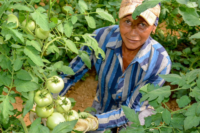 Producir alimentos es una prioridad  para todos