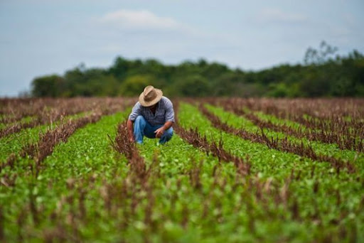 Sector financiero en Cuba por impulsar desarrollo agrícola (+Fotos)