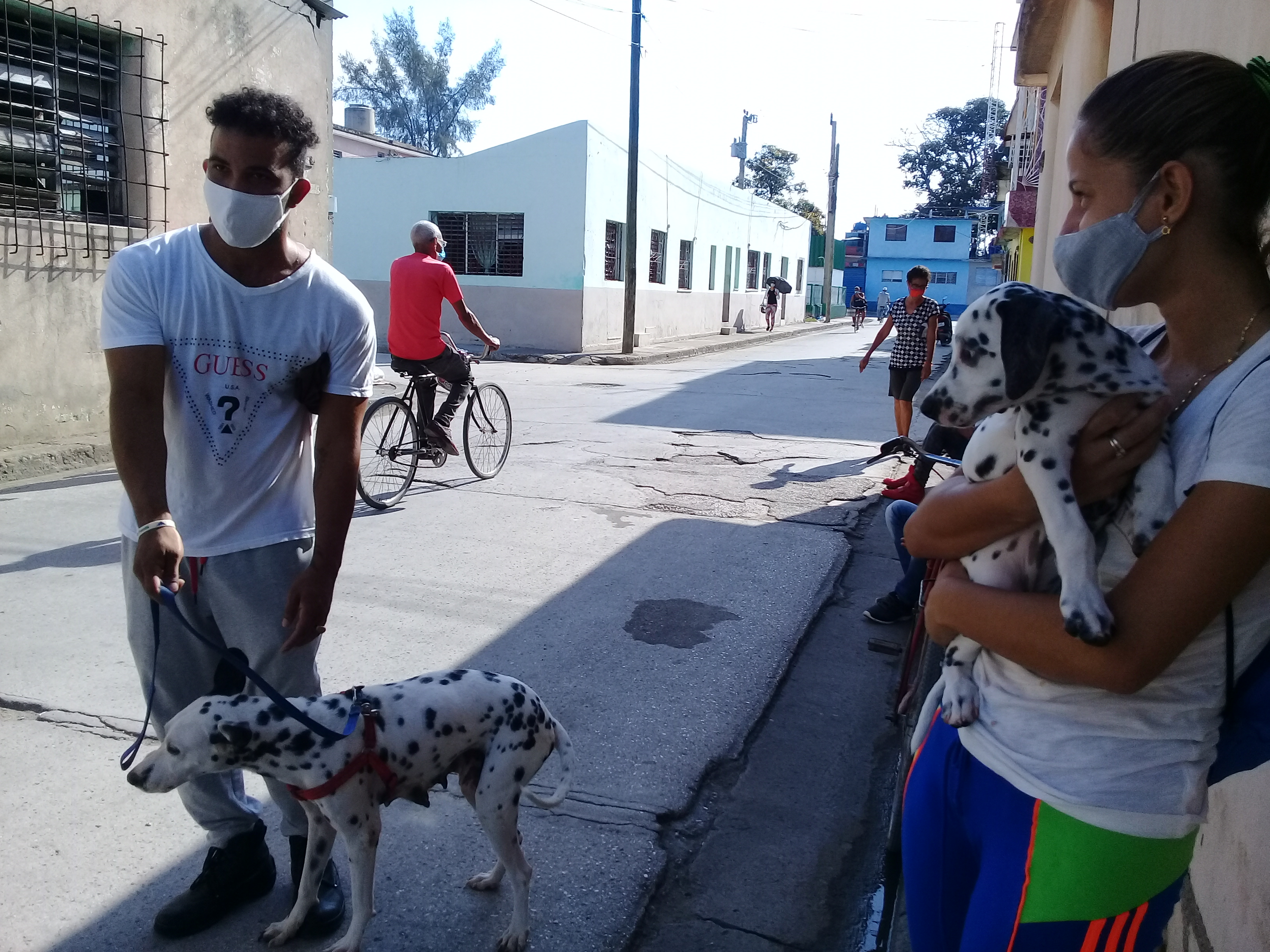 Voz para los abandonados