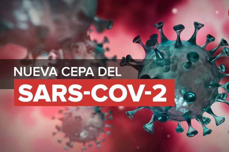 Cepas de coronavirus de Reino Unido e India hibridaron en Vietnam Cepas de coronavirus de Reino Unido e India hibridaron en Vietnam