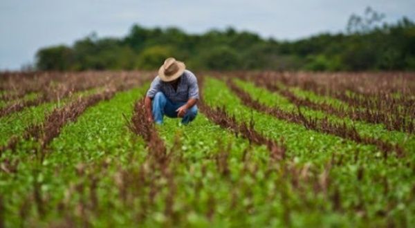 Cuba denuncia impacto de bloqueo de EEUU en seguridad alimentaria Cuba denuncia impacto de bloqueo de EEUU en seguridad alimentaria