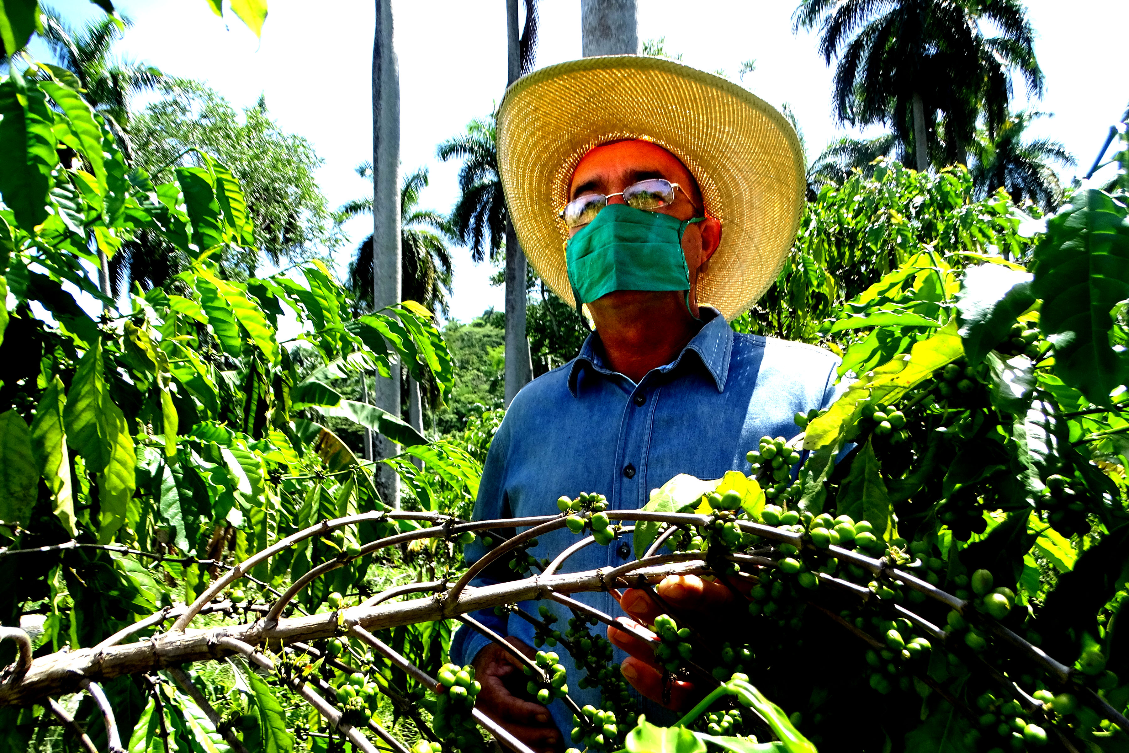 De chofer a productor en Buey Arriba