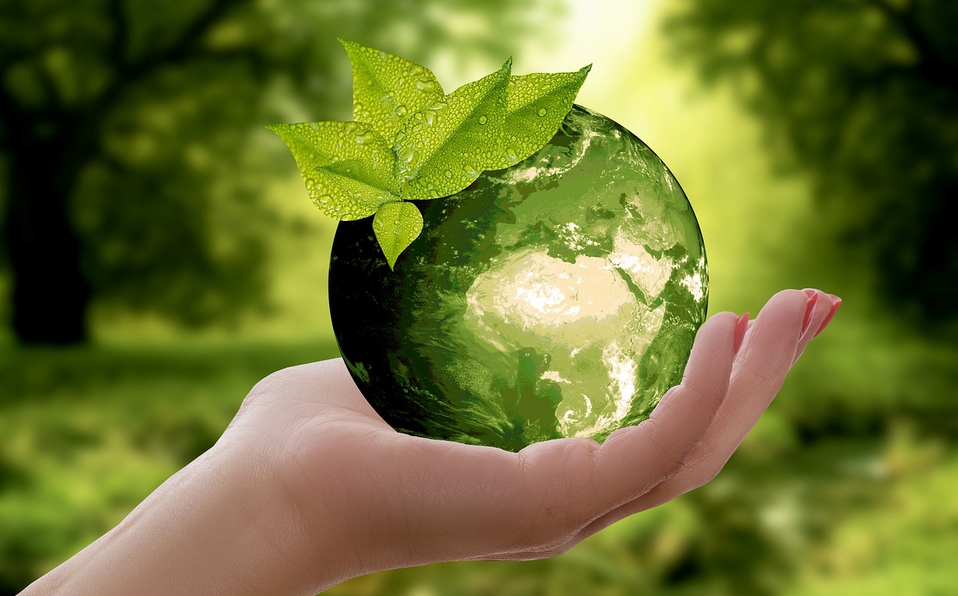 Preservar el mundo en que vivimos Preservar el mundo en que vivimos