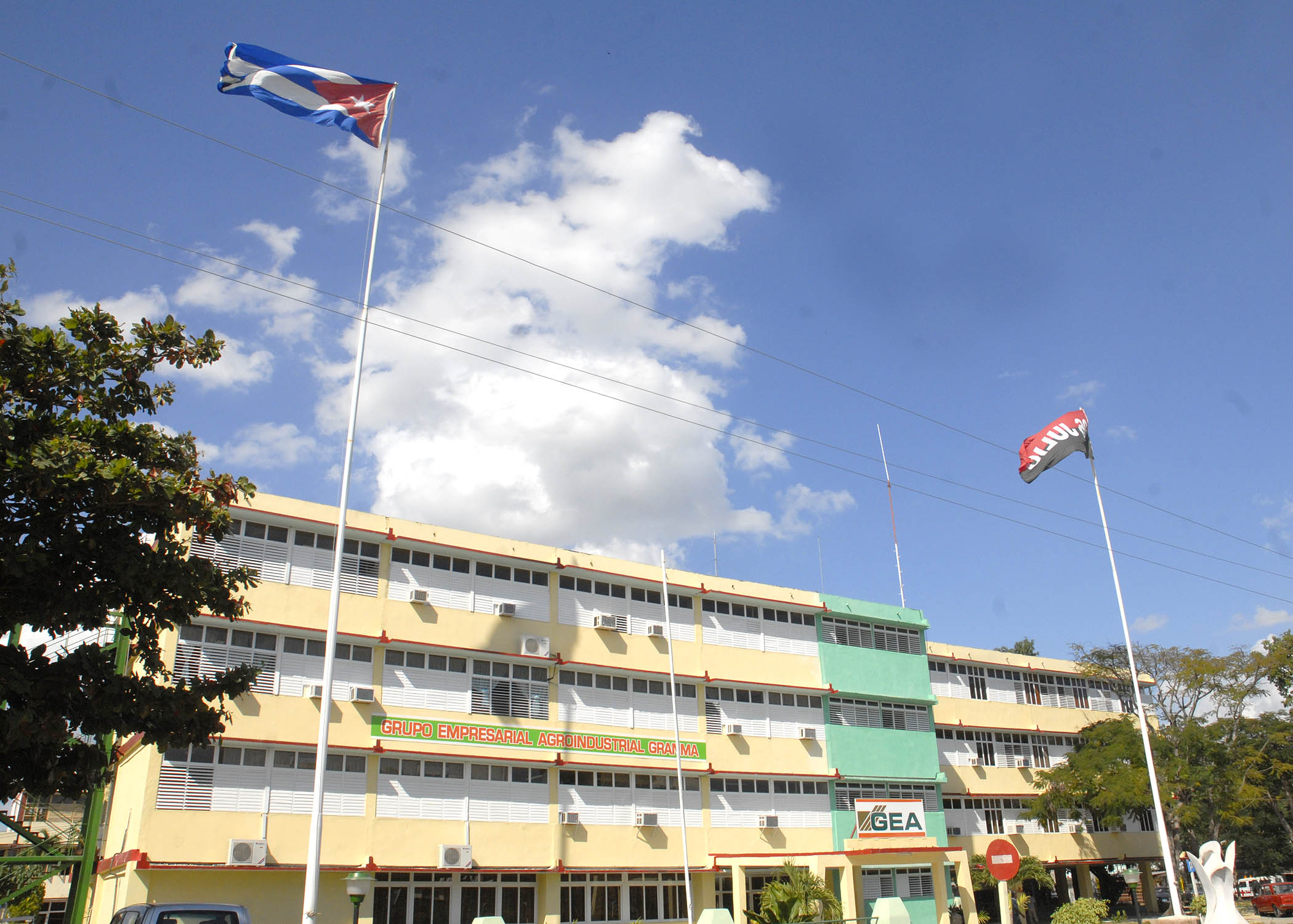 Organizan nueva estructura de dirección en sector azucarero Organizan nueva estructura de dirección en sector azucarero