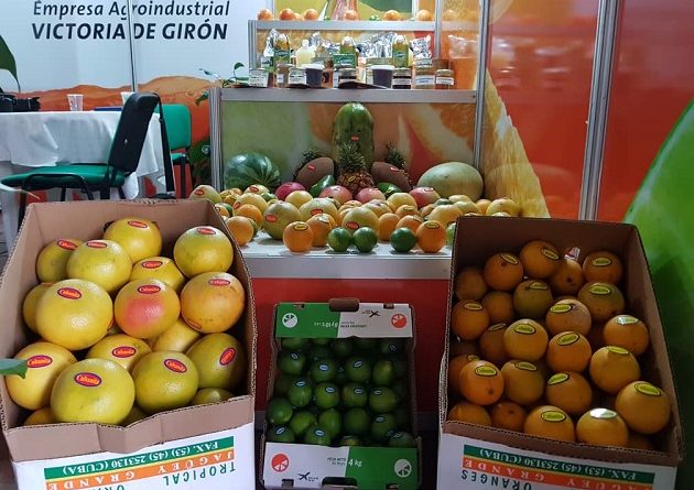 Modalidades de comercio favorecen exportación de productos agrícolas Modalidades de comercio favorecen exportación de productos agrícolas