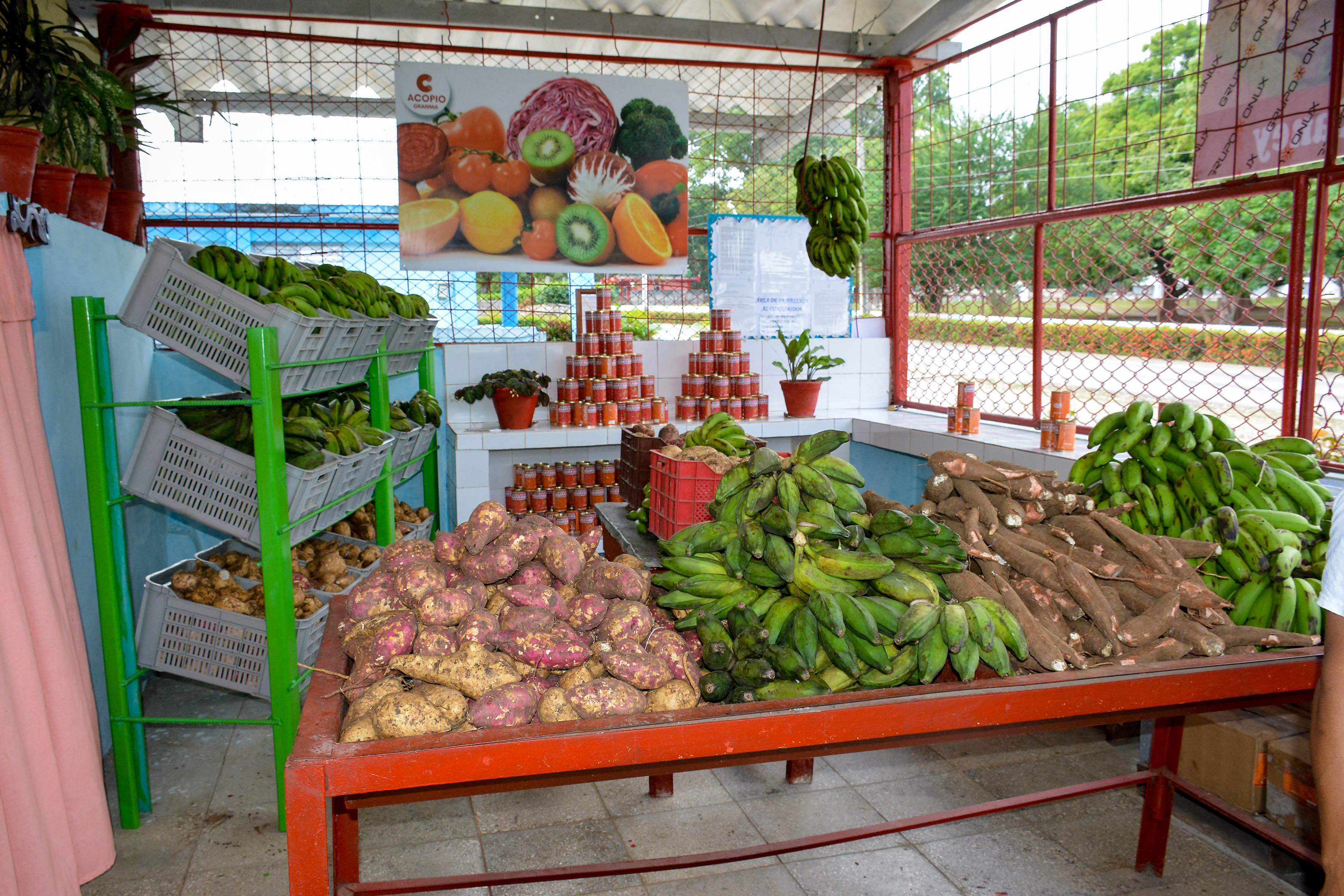 Entra en vigor nueva resolución para comercialización de productos agropecuarios Entra en vigor nueva resolución para comercialización de productos agropecuarios