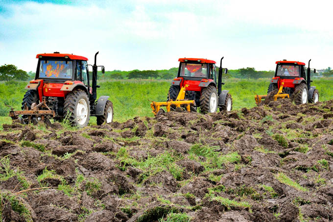 Granma busca  sostenibilidad en producción de alimentos