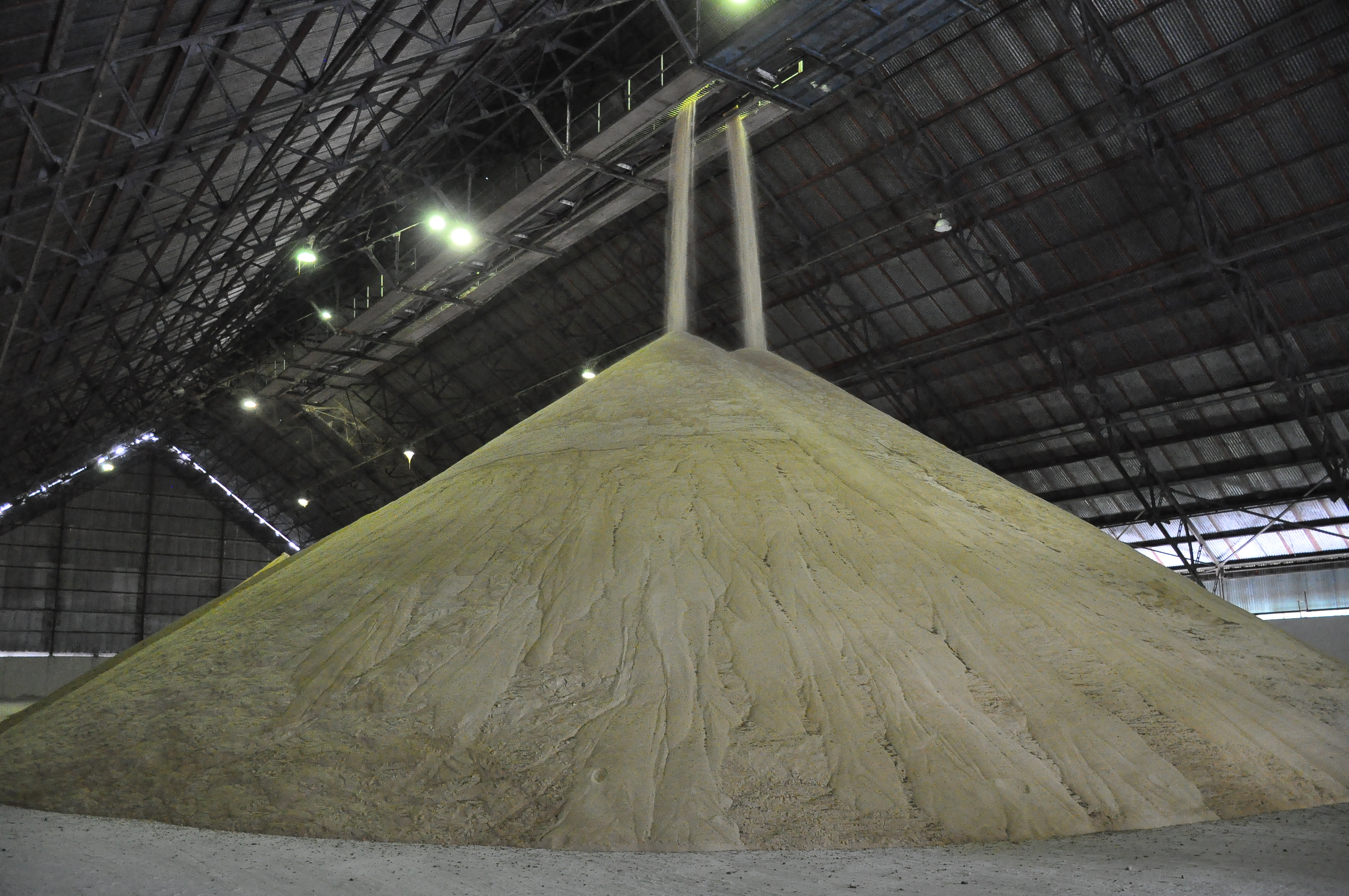 Granma necesita producir más caña, azúcar y derivados Granma necesita producir más caña, azúcar y derivados