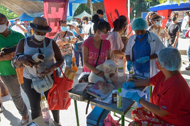 Cuba celebra día mundial de animales con decreto para su bienestar (+ Foto)