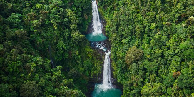 Costa Rica consolidó en 2021 liderazgo mundial en materia ambiental Costa Rica consolidó en 2021 liderazgo mundial en materia ambiental